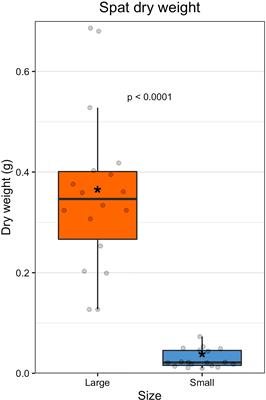 Dominant bacterial taxa drive microbiome differences of juvenile Pacific oysters of the same age and variable sizes